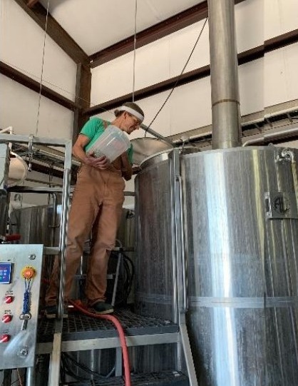 Brewing an award winning batch of pilsner